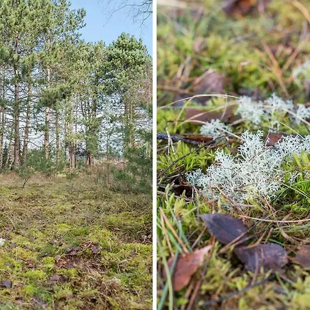 Fy358-martofte-sandvejen-3 *