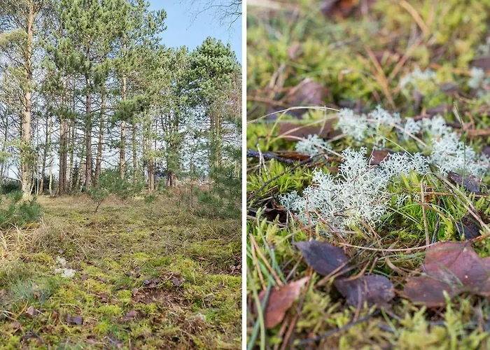 Fy358-martofte-sandvejen-3 *